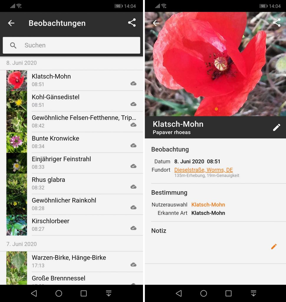 Android App Flora Incognita