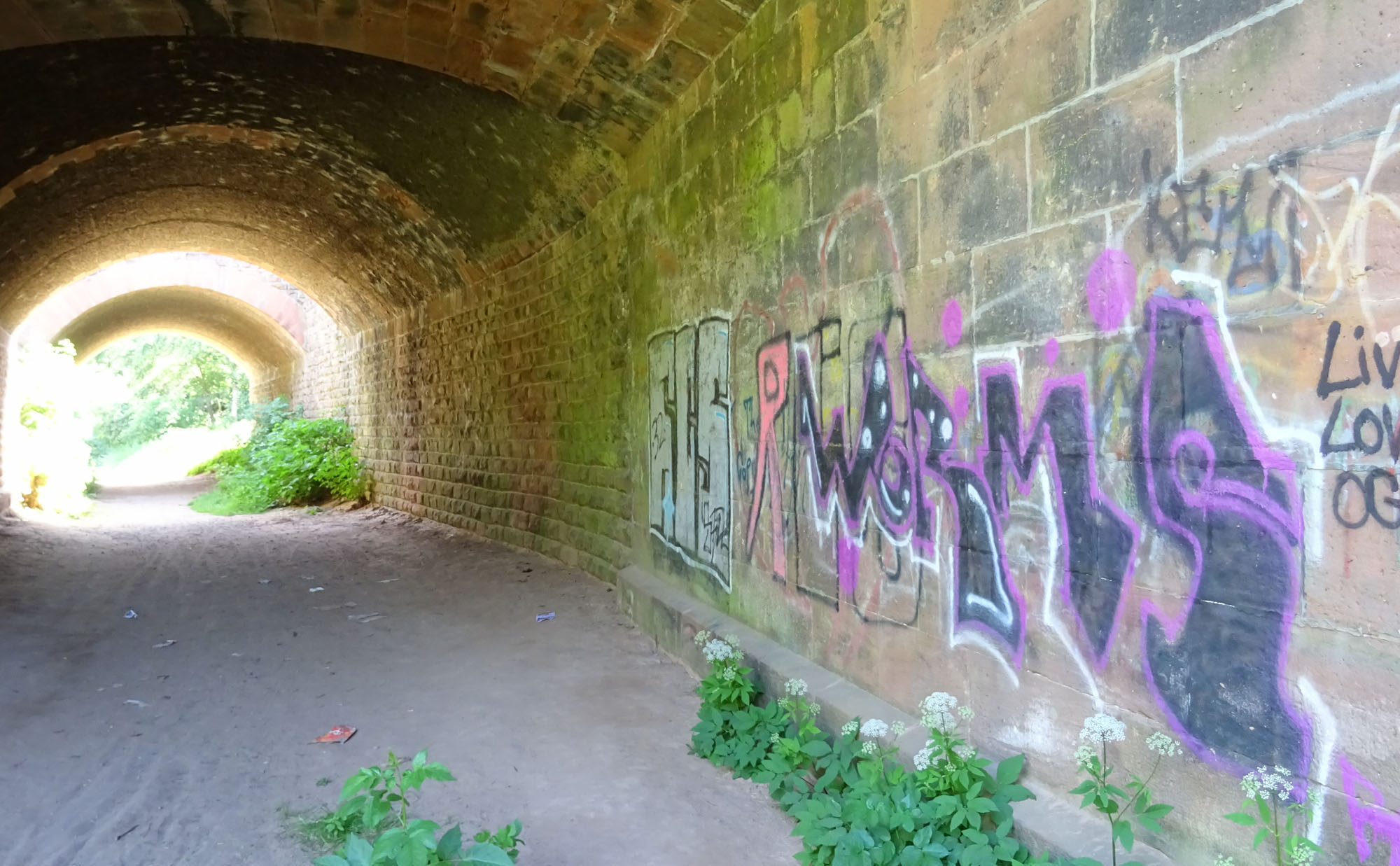 Graffiti an der Bahnunterführung entlang der Pfrimm Worms