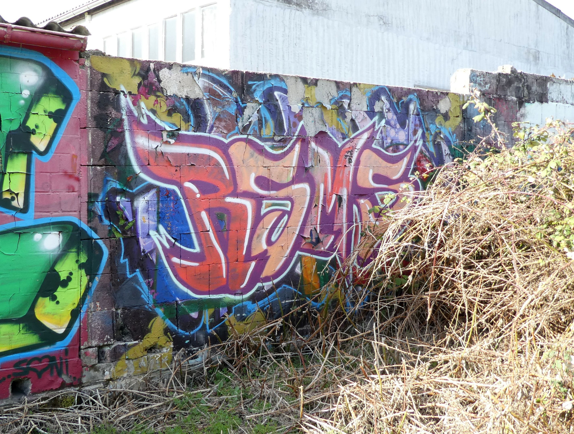Graffiti HoF Worms 28. März 2021